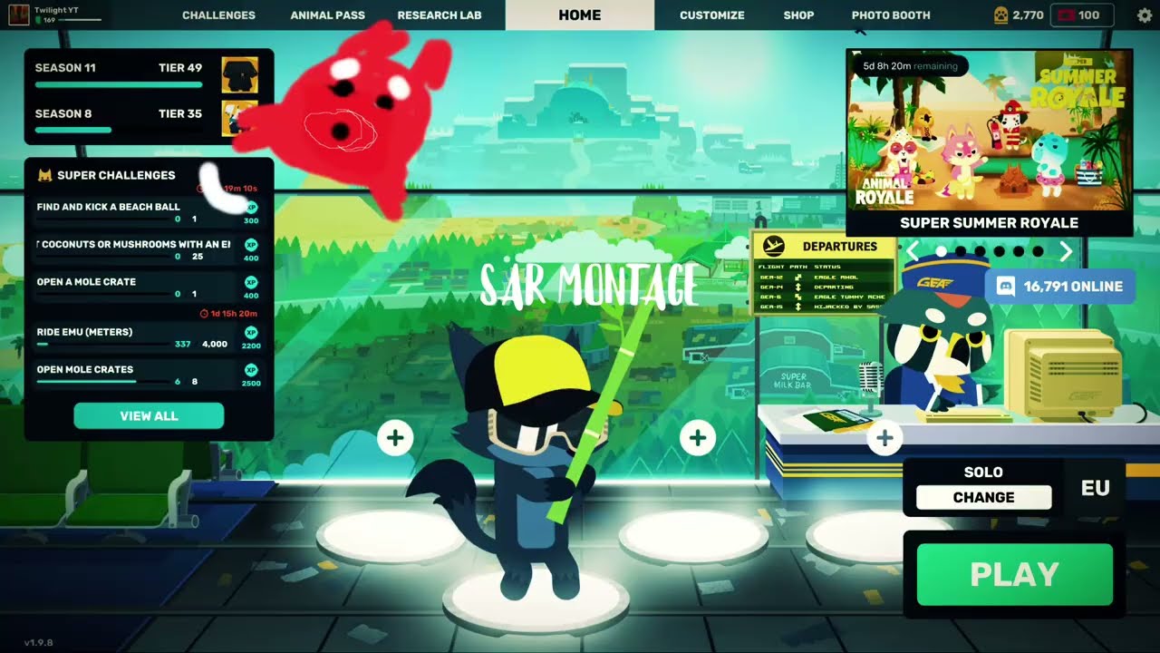 SAR montage #