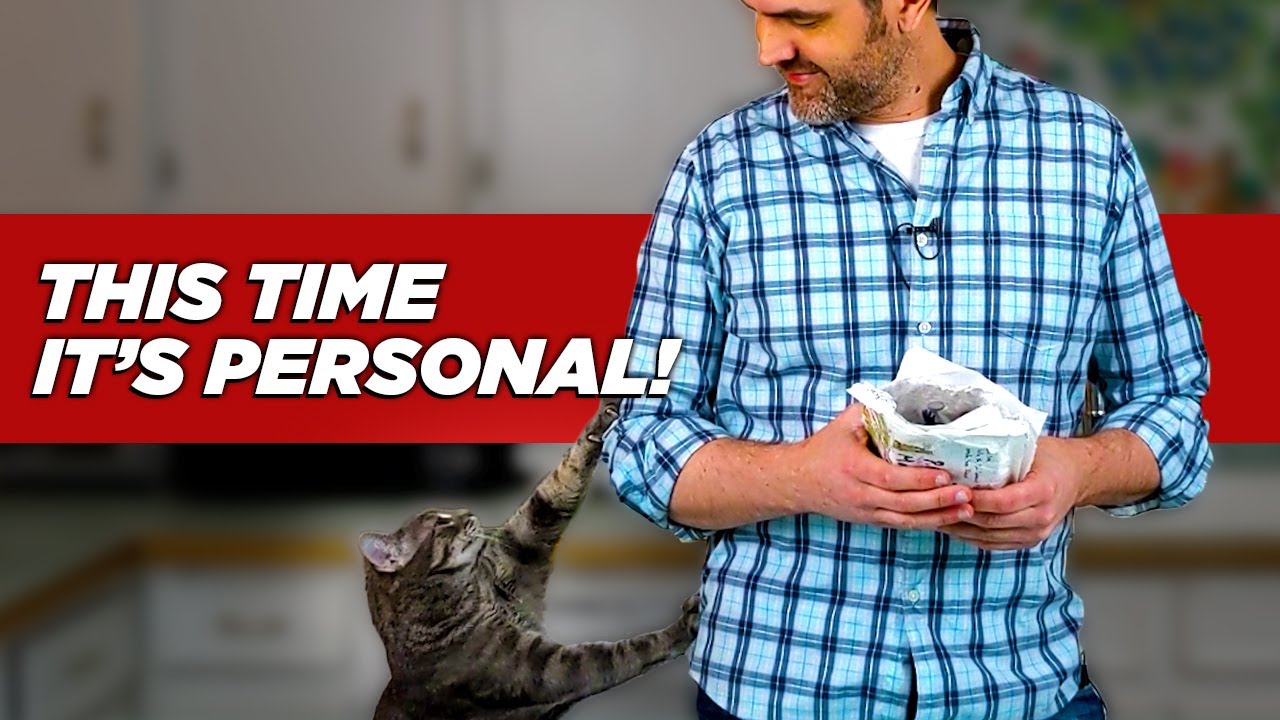 Batman, Gundam, Bootleg Toys & Cat!! We've Got It All!!
