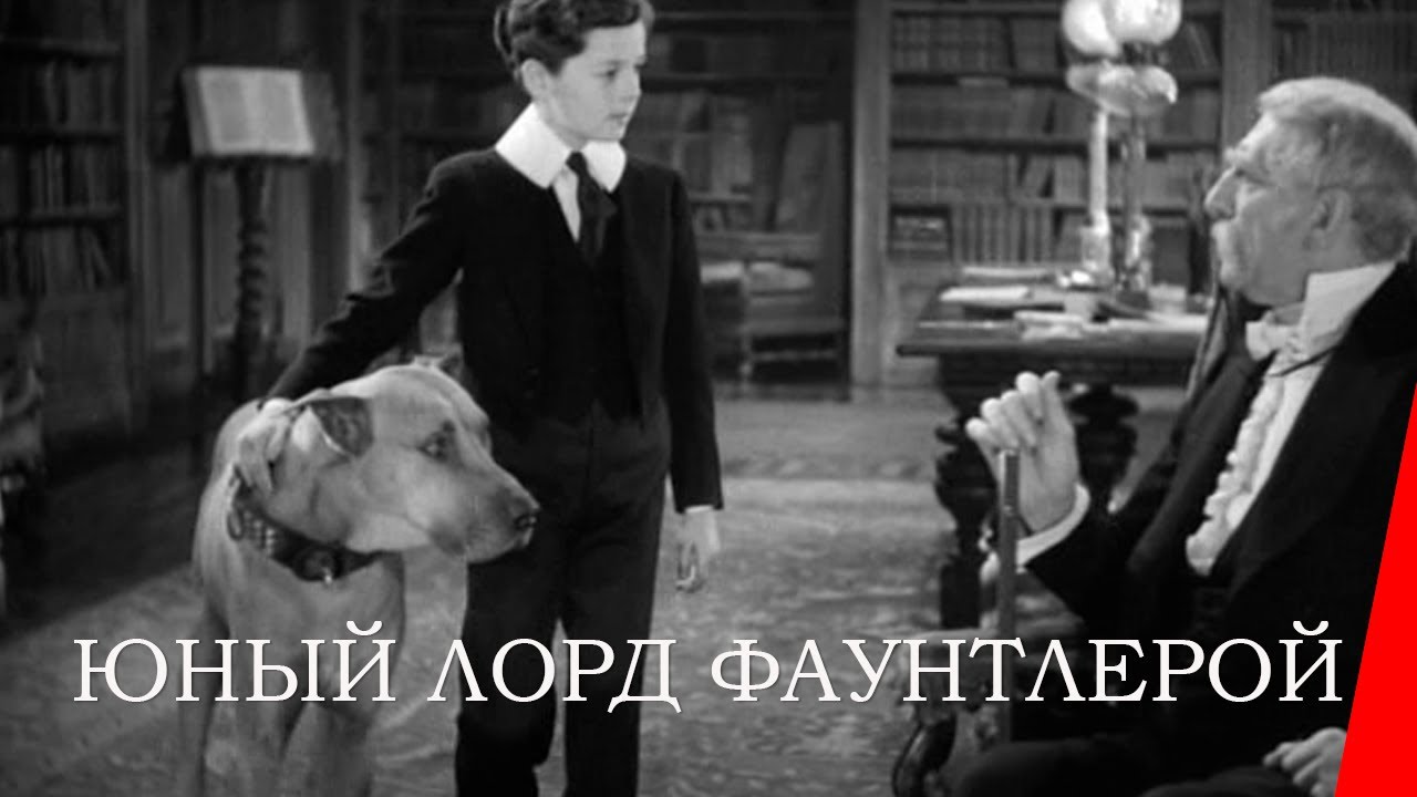 ЮНЫЙ ЛОРД ФАУНТЛЕРОЙ (1936) семейный