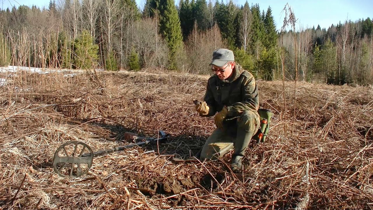 Поиск по старым местам спустя годы #428