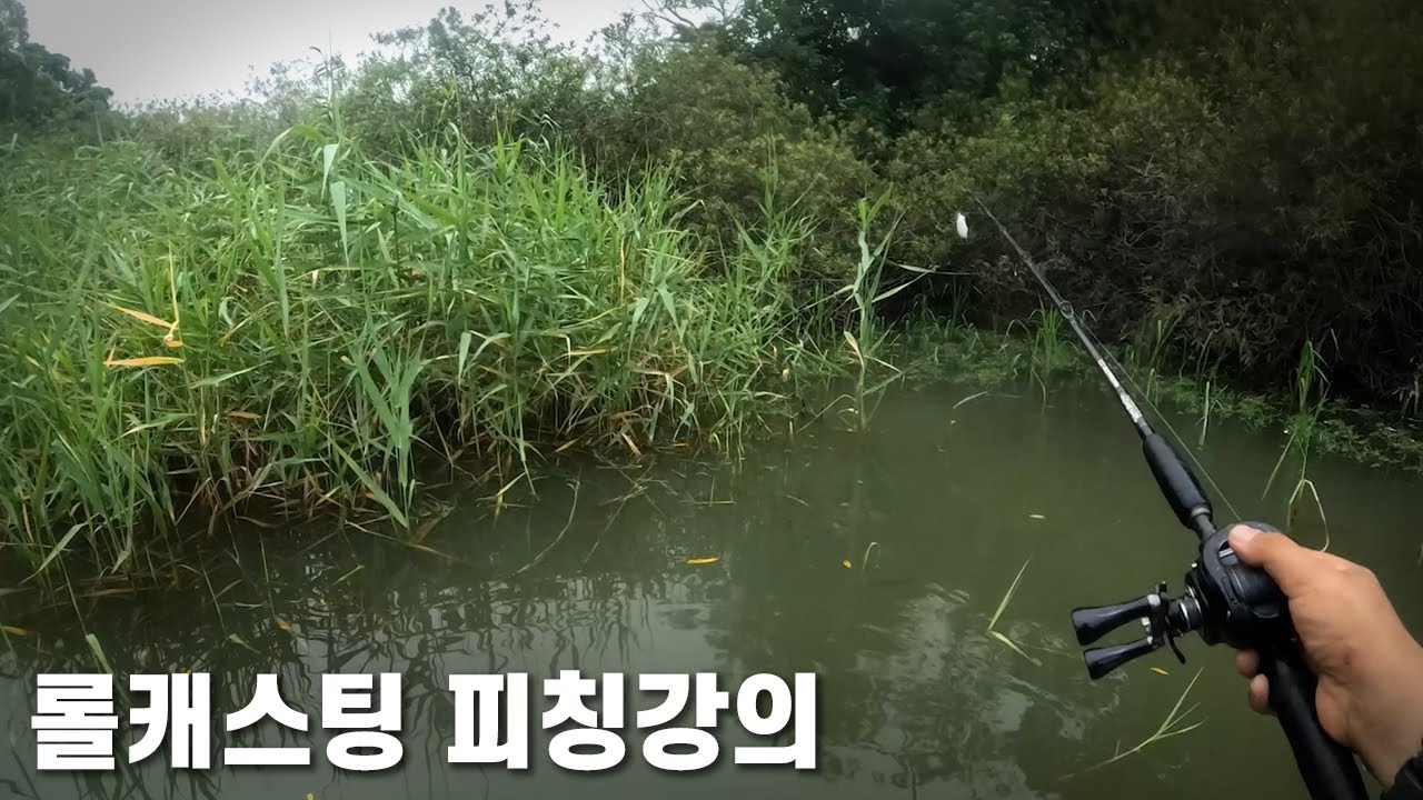 루어 낚시 꿀팁! 롤캐스팅 피칭에 대하여