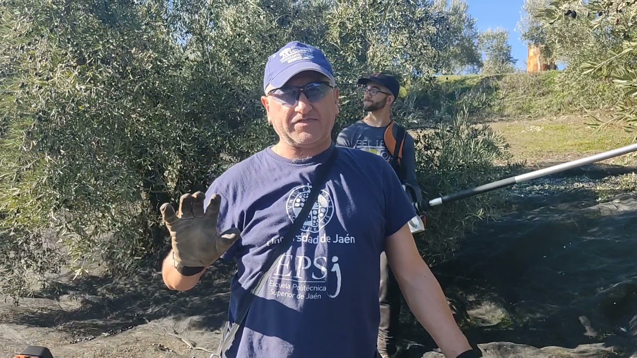 Peine y vibradora Stihl a la vez