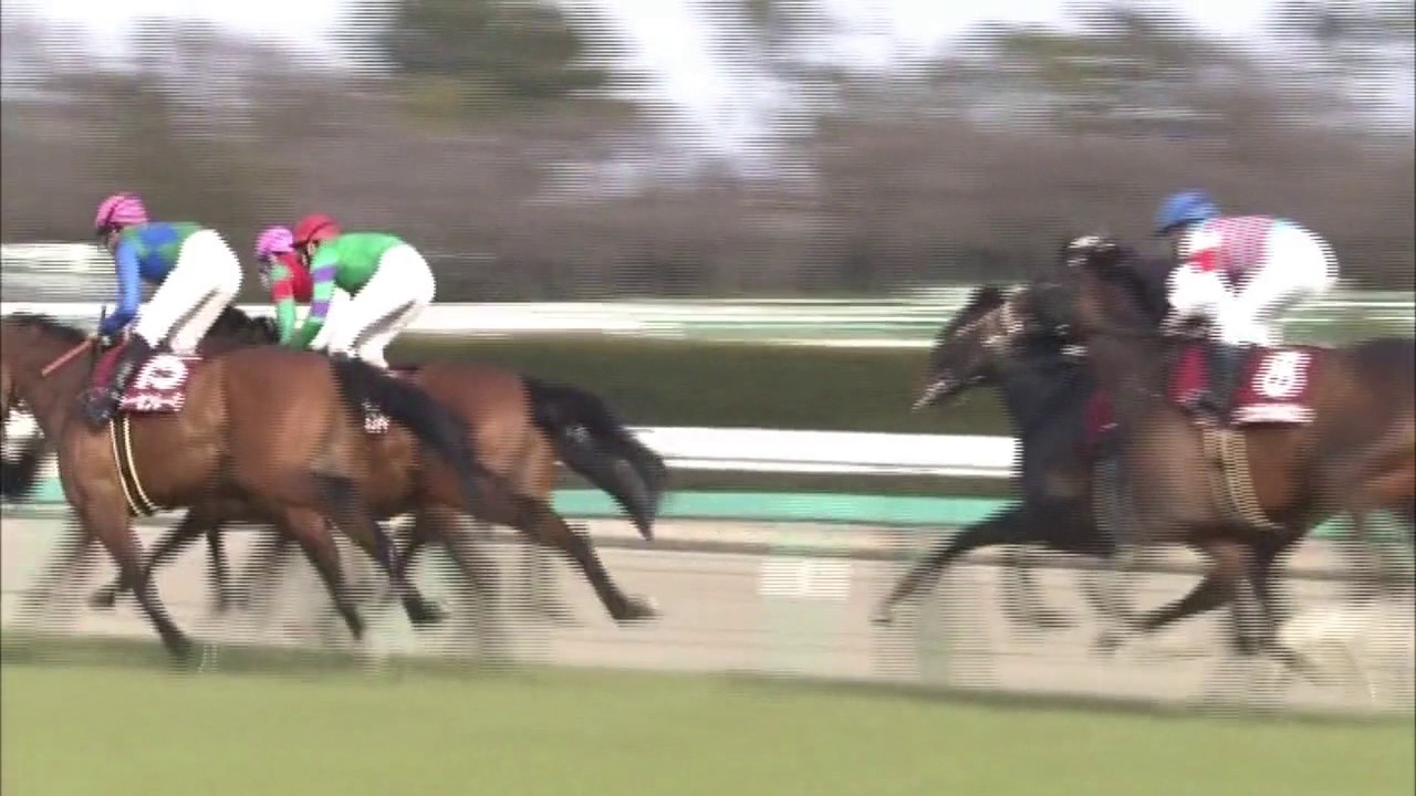 日経賞2017(2500m)THE NIKKEI SHO2017