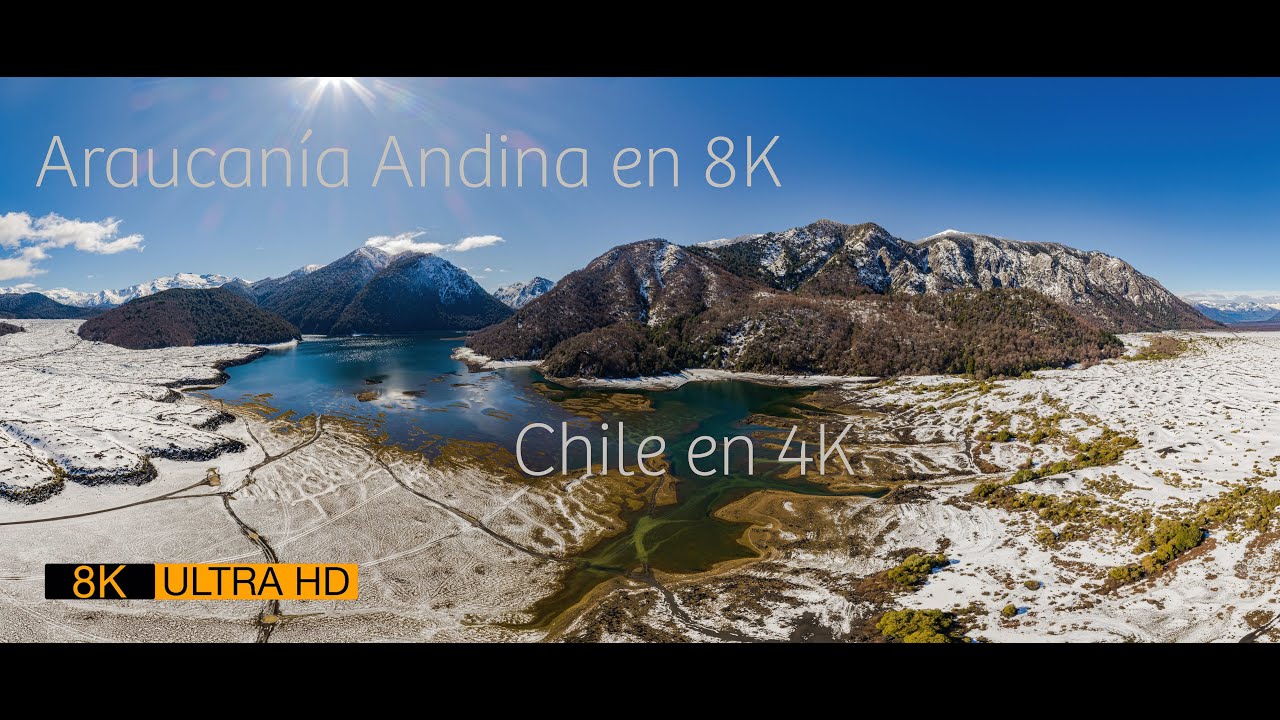 La Araucan&iacute;a a&uacute;n tiene pena