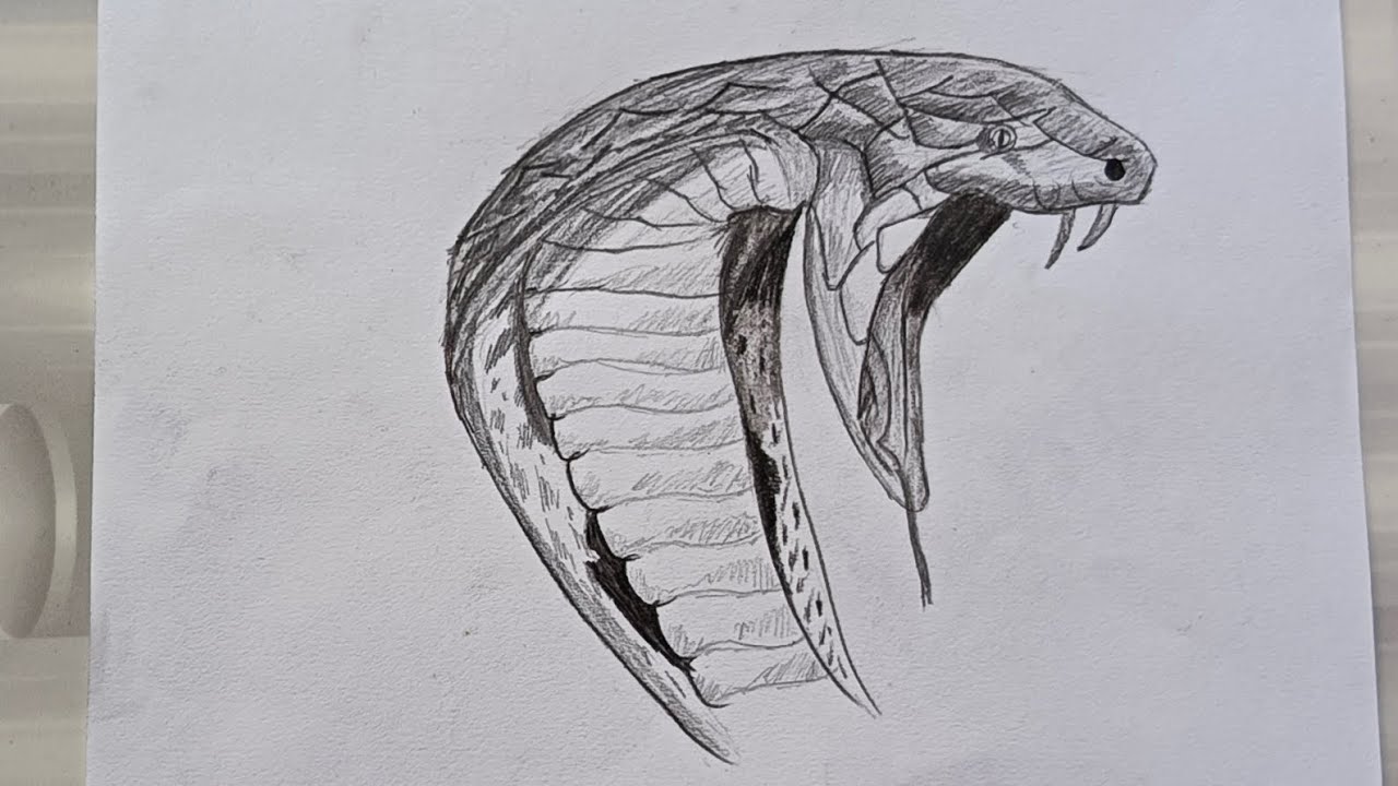 How to Draw a snake 🐍/#realstick #drawingtechniques #drawing #charcoal#drawingstyles #sketch#artist 