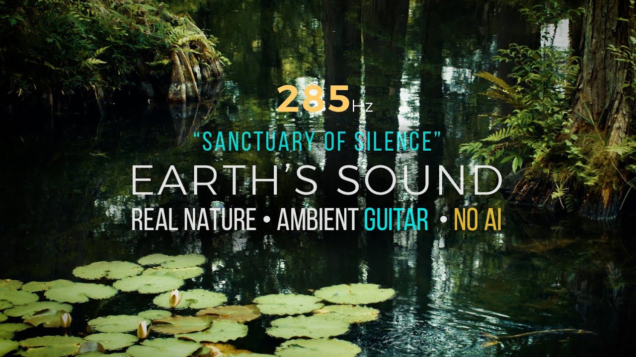 285Hz Solfeggio Frequency – Lotus Pond Nature Sounds & Ambient Guitar | EARTH’S SOUND （No AI）
