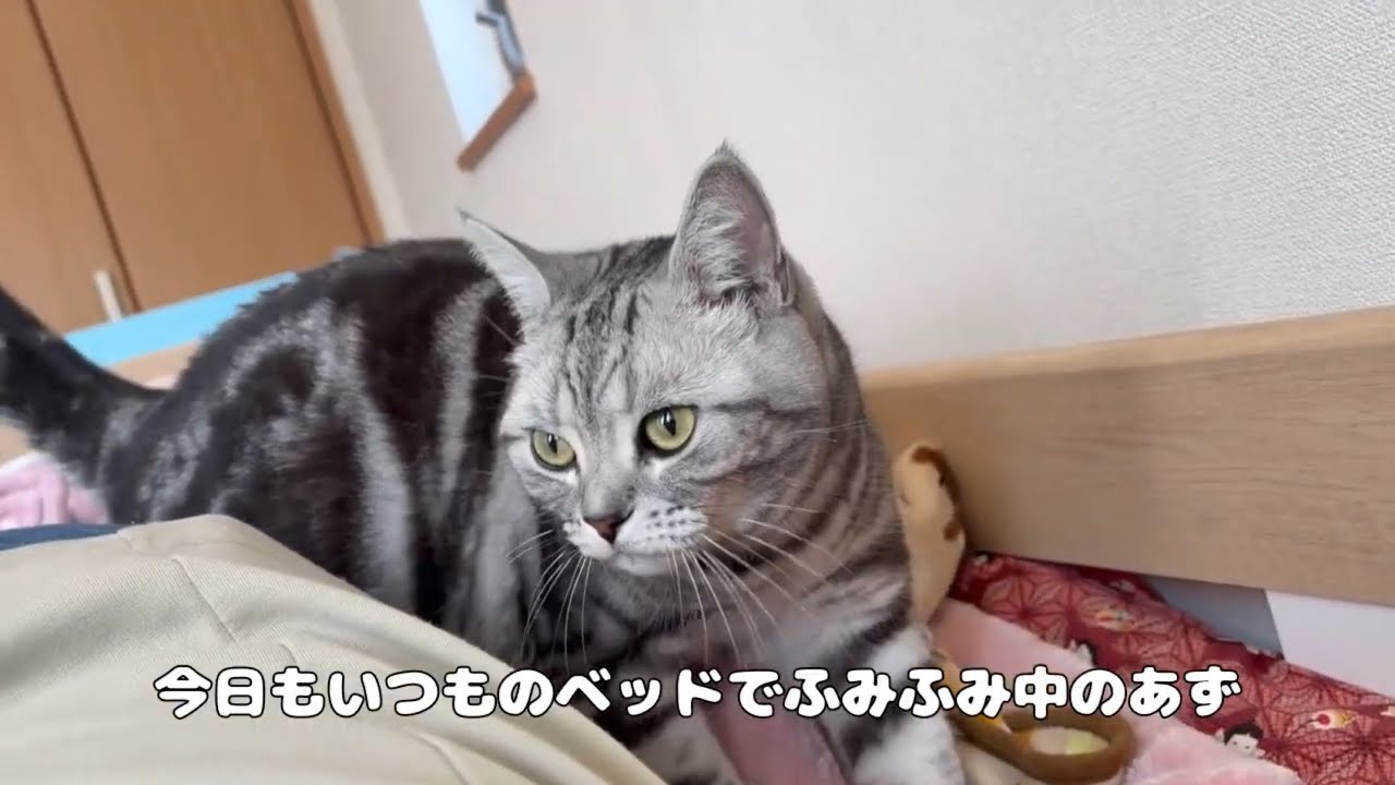 あずのまったり時間 　Az's Relaxing Time