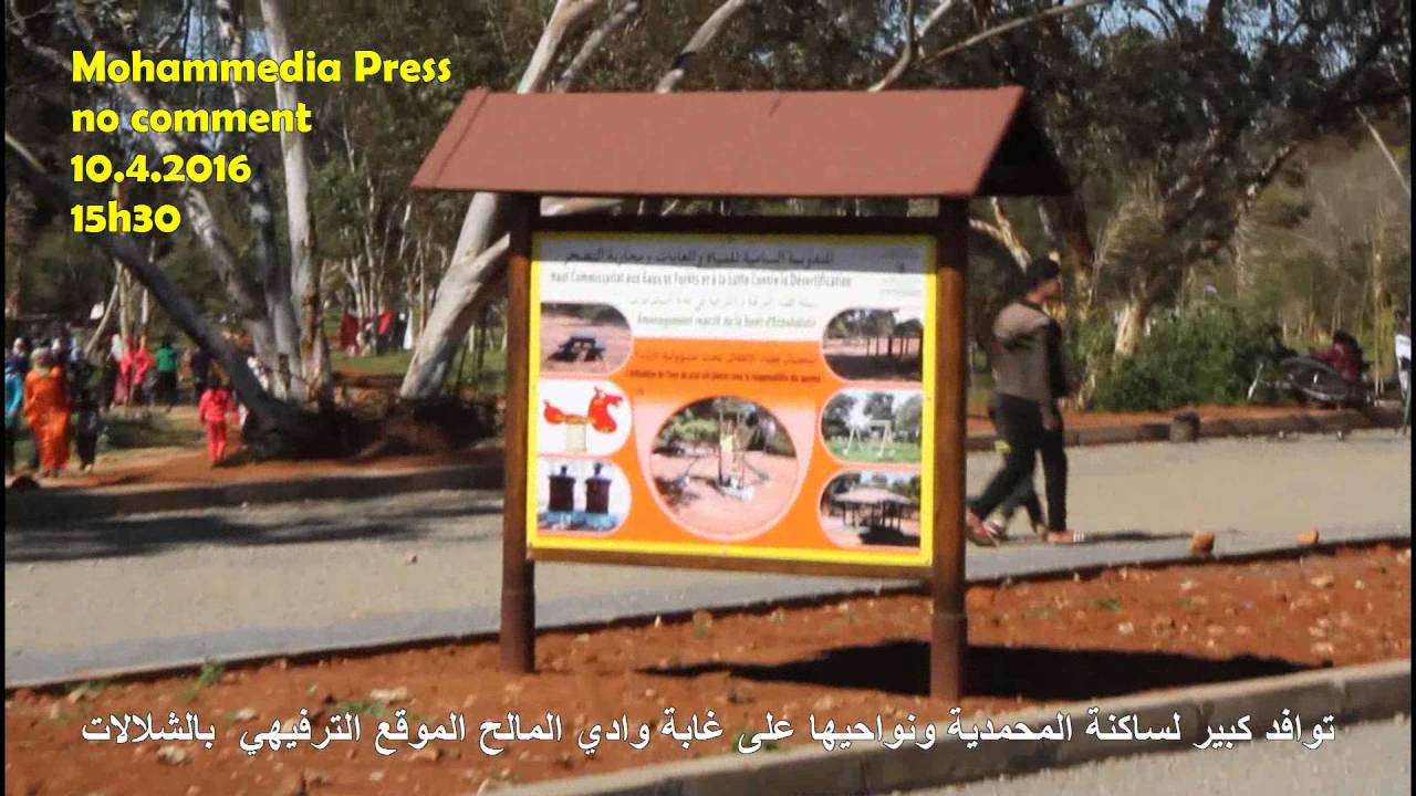 توافد كبير لساكنة المحمدية ونواحيها على غابة وادي المالح الموقع الترفيهي  بالشلالات