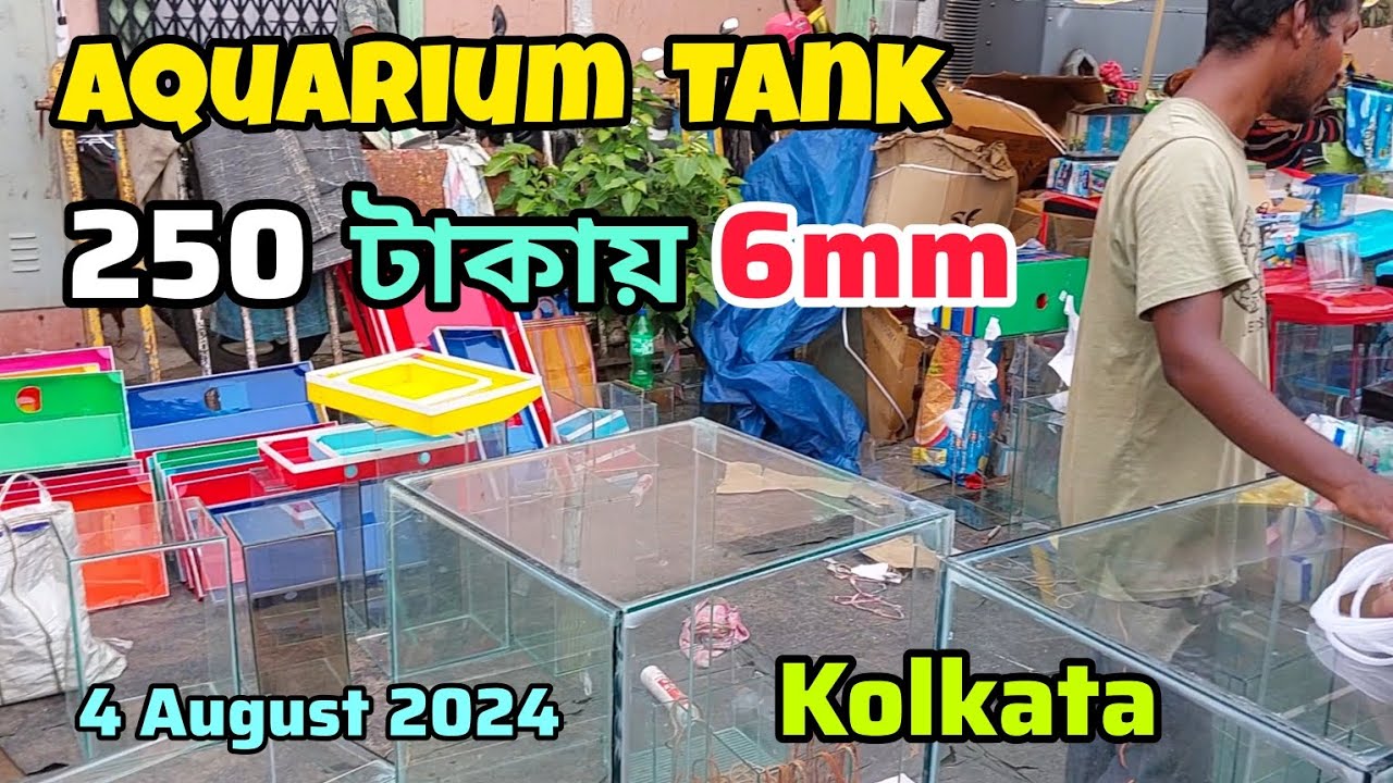 250 টাকায় 6mm Glass Aquarium | Gallif Street Fish Market Kolkata | Aquarium Price | 4/08/2024