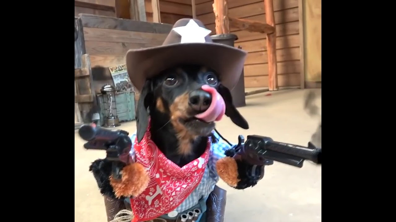 yxngxr1 - In the Western (Prod. Deadtalks)