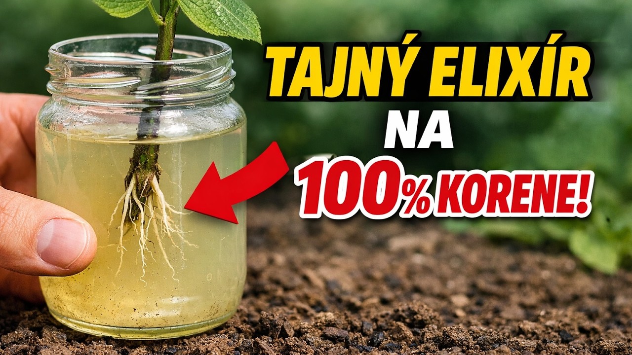 Výrobcovia stimulátorov prosia o zmazanie tohto videa! Domáci elixír za pár centov pre stopercentné