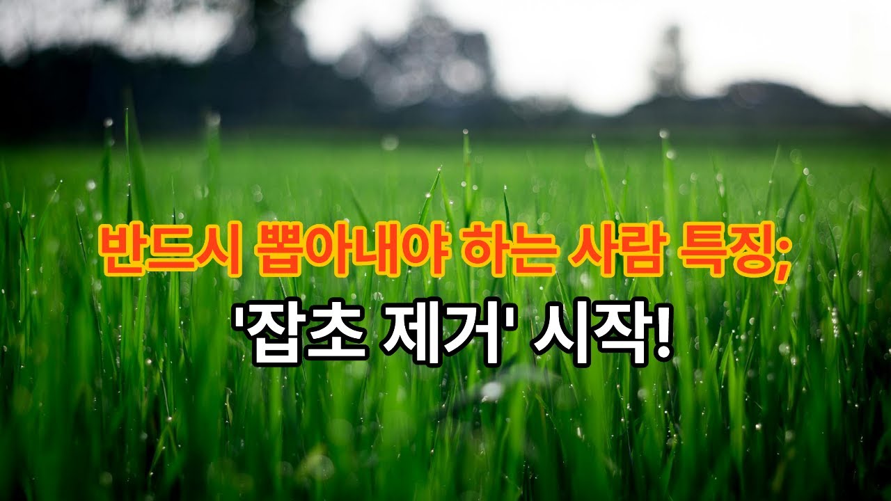 반드시 연을 끊어야하는 사람의 특징3가지#지식 #마음의소리로쓰는글 #명언 #성공으로가는길 #좋은글 #인생조언 # 삶의 지혜# 인간관계# 오디오 북 #웬디의 서재