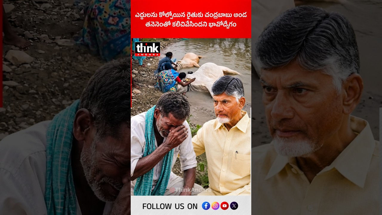 ఎద్దులను కోల్పోయిన రైతుకు చంద్రబాబు అండ | తననెంతో కలిచివేసిందని భావోద్వేగం! #Chandrababu #Kurnool