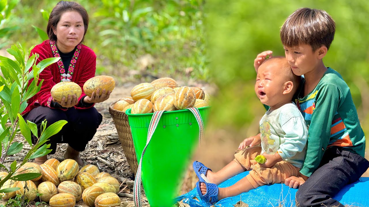 The mother went to harvest melons to sell, the older brother had to take care of his younger sibling
