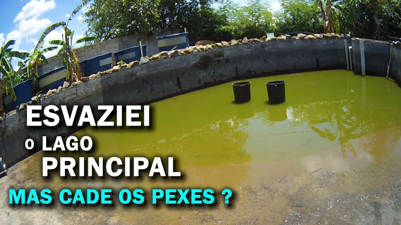 ESVAZIEI O LAGO PRINCIPAL DESPESCA Canal saalada