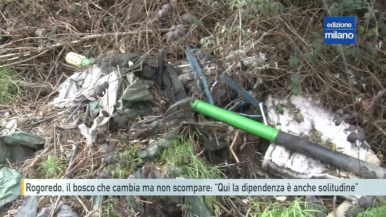 Rogoredo, il bosco che cambia ma non scompare: &ldquo;Qui la dipendenza &egrave; anche solitudine&rdquo;
