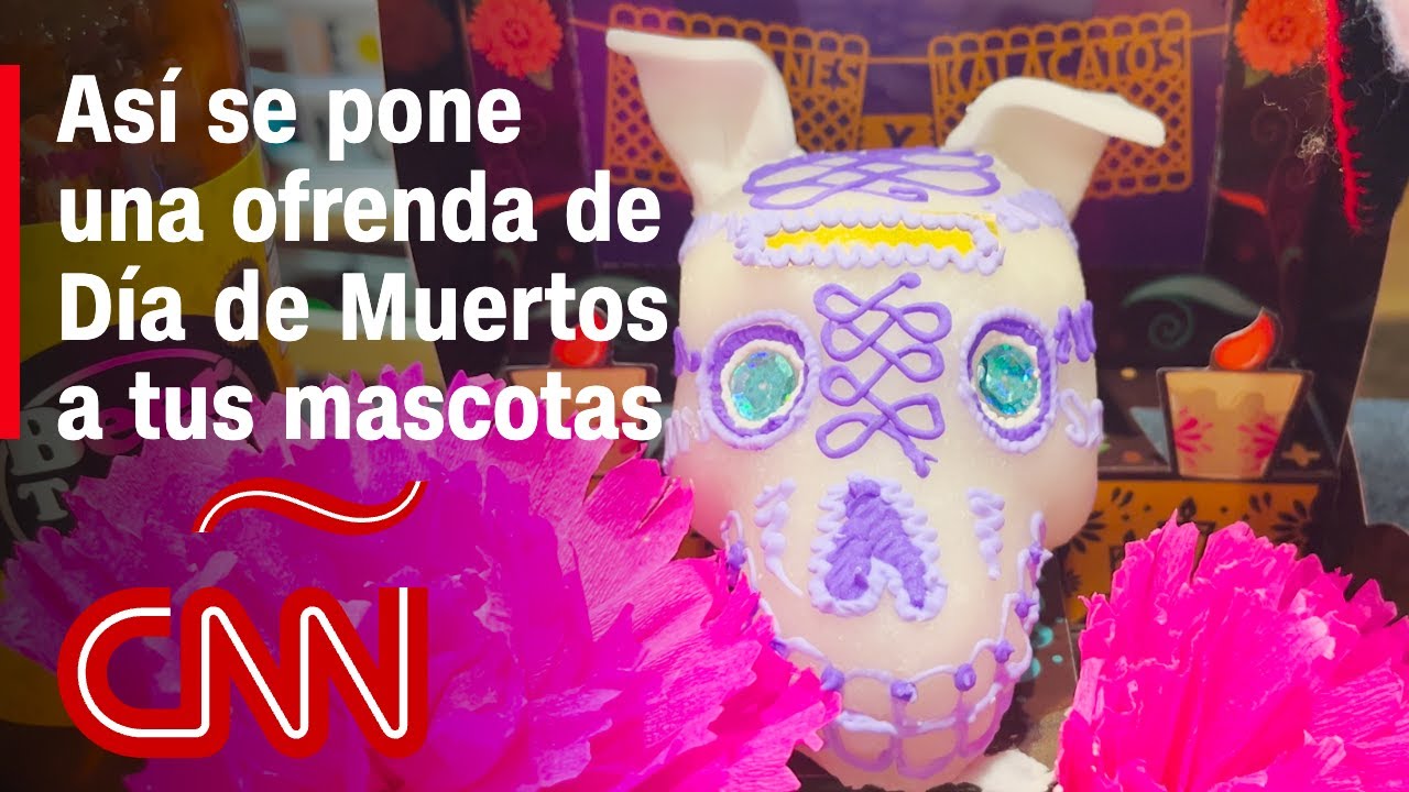 Ofrenda de D&iacute;a de Muertos para tus mascotas difuntas: &iquest;c&oacute;mo poner un altar a tu perrhijo o gathijo?