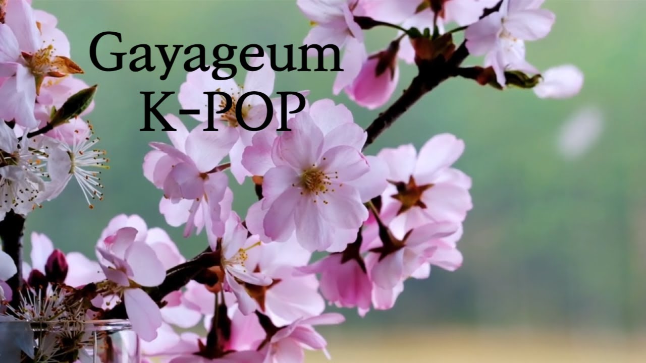 GayageumㅣK-POPㅣWork & StudyㅣKorean traditional musical instruments