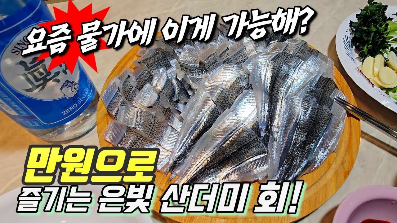 새해 아침부터 은빛 광택 쥑이는 회 먹은썰~~~ 그런데 단돈 만원으로~  
