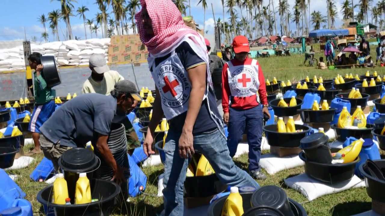 Philippines: Surviving the storm (Typhoon Bopha emergency)