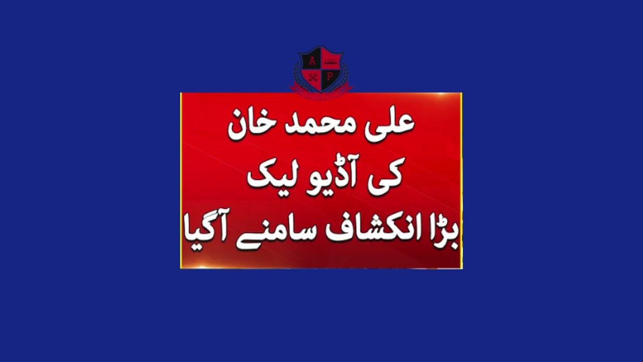 PTI Leader Ali Muhammad Khan Audio Leak During Party Meeting