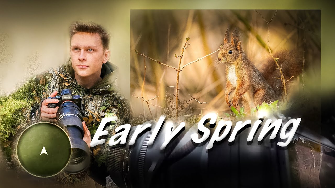 POV Wildlife Photography | Early Spring