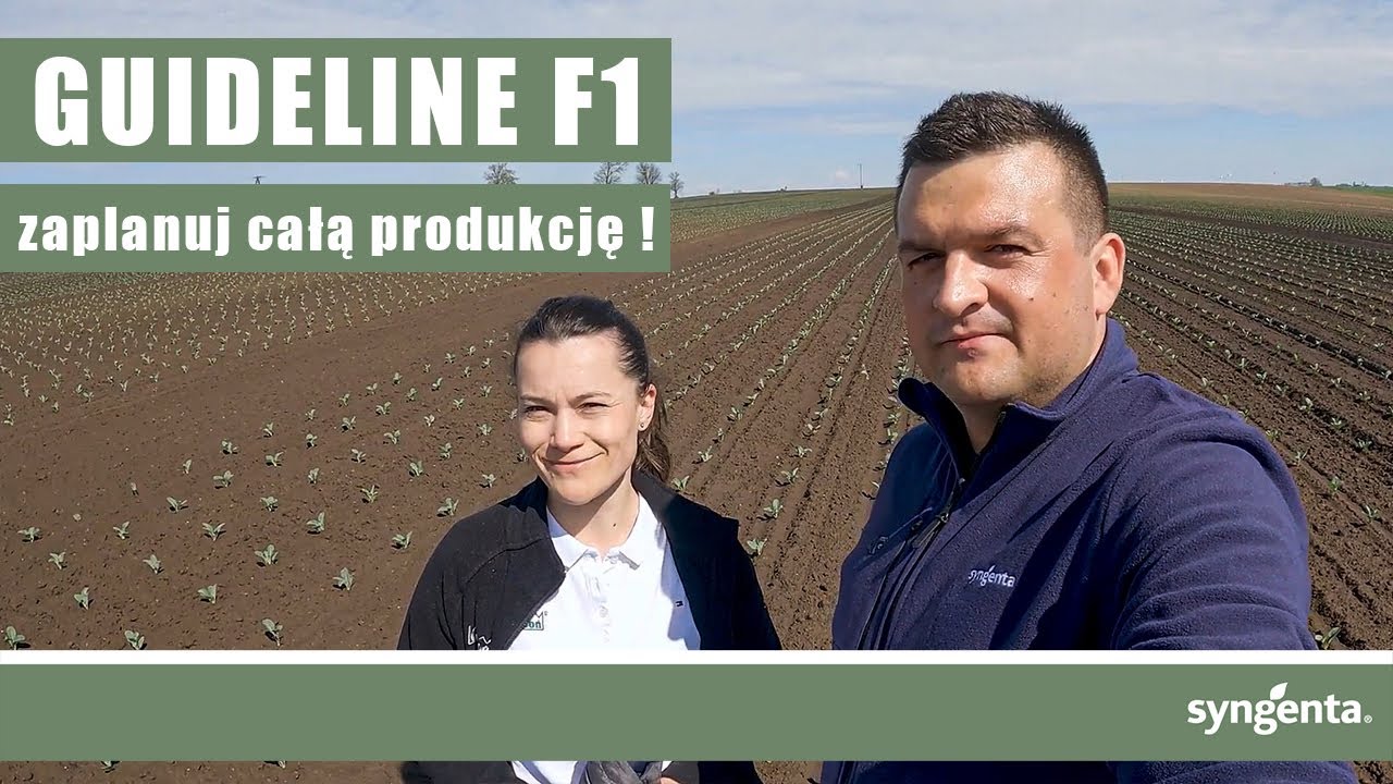 Zaplanuj z kalafiorem Guideline F1 całą produkcję!