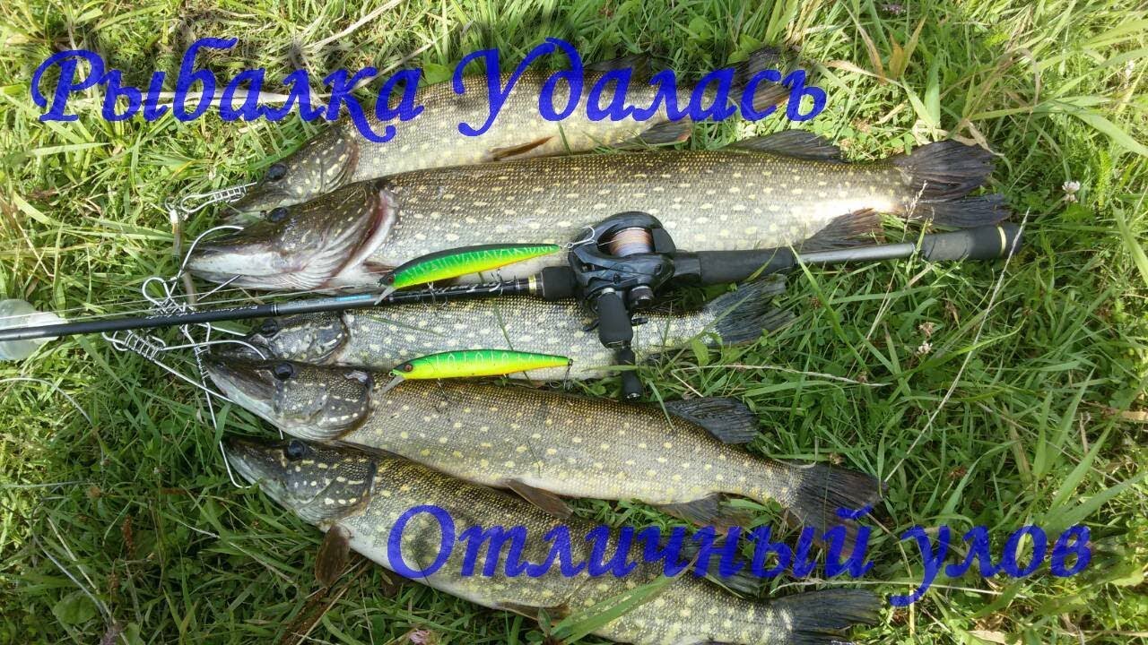 Рыбалка удалась  .Разлавливаем воблер Jackall Rerange 130SP .