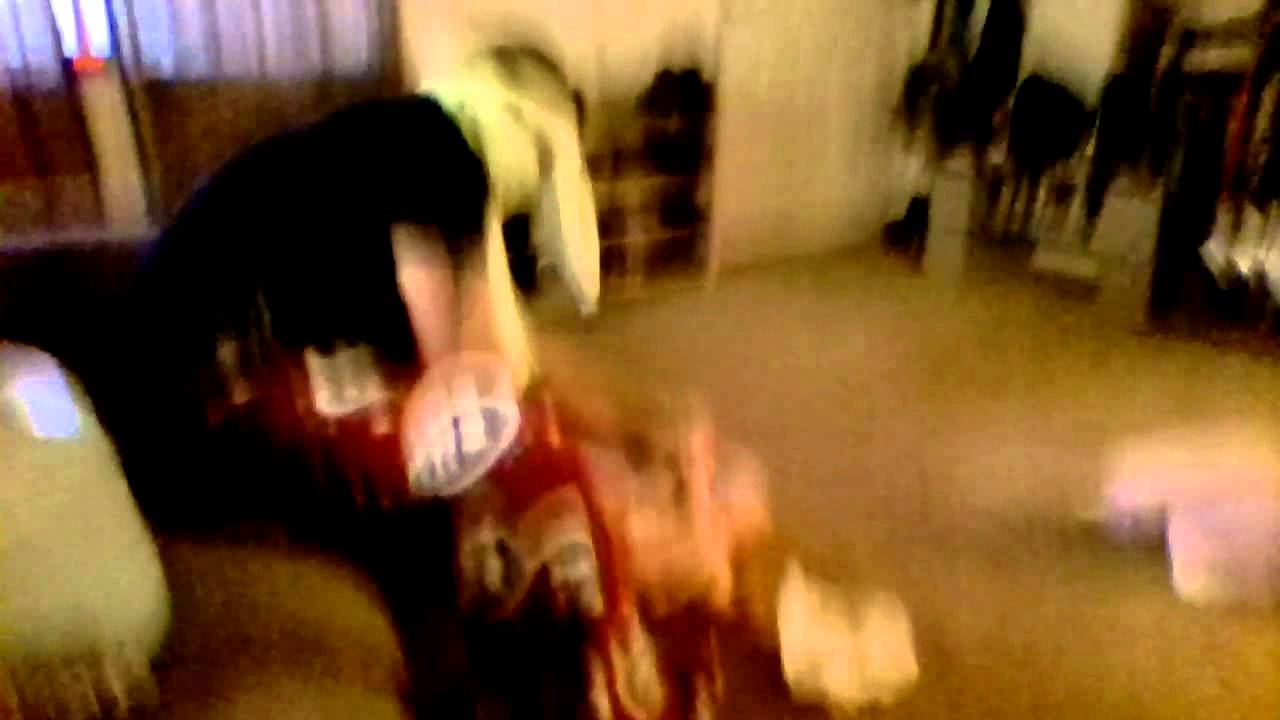 Diaper Adventure Part 1 gag me