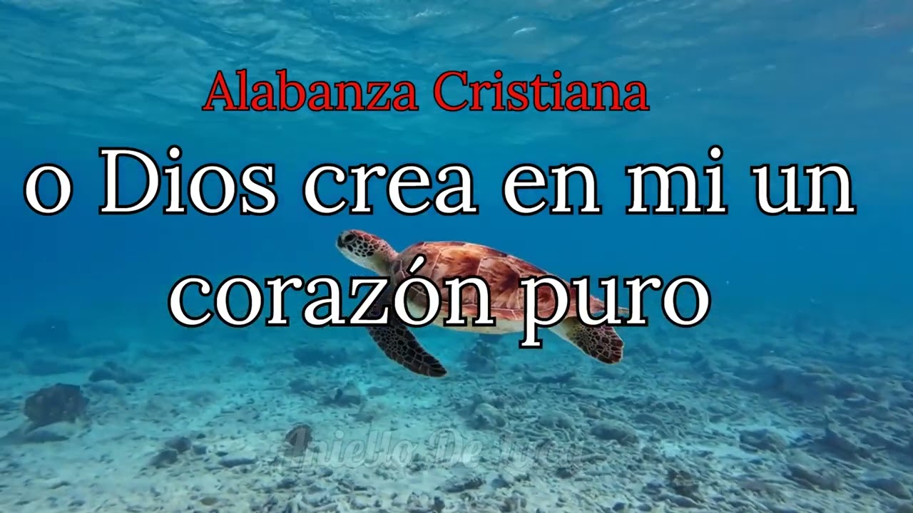 Dios crea en mi un corazón puro alabanza Cristiana #musica #fe #music