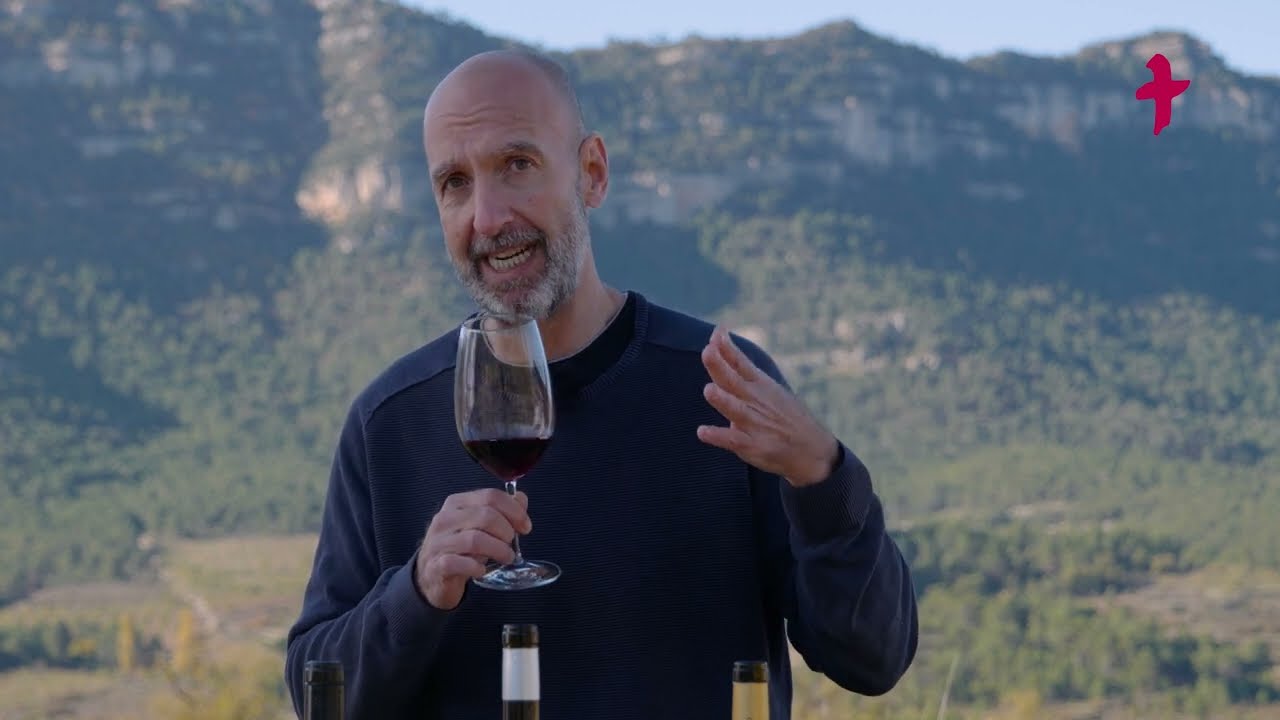 VÍDEO TAST - Zonificació de la DO Montsant