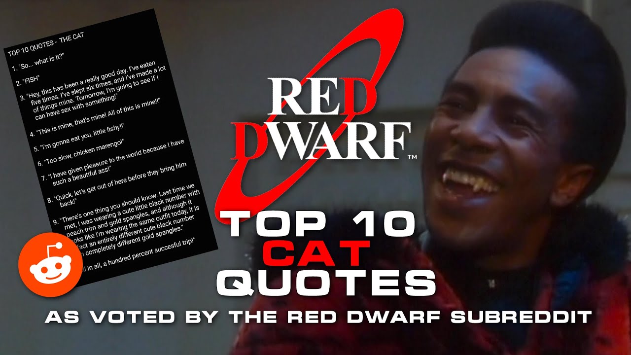 Red Dwarf Top 10 Cat Quotes [As Voted By The Red Dwarf Subreddit]