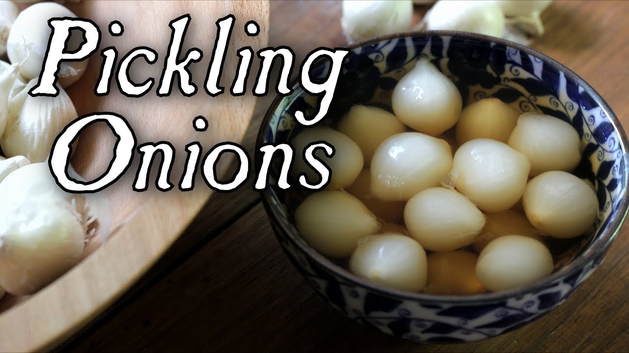 Pickling Onions Made Easy! - Historical Food Preservation