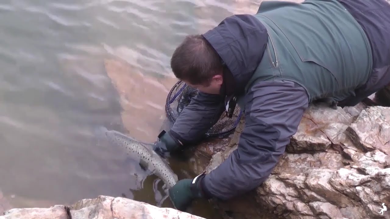 🎣 MAVROVSKO LAKE🐟 Discover Secrets in Macedonia's Hidden Fishing Spots!#fishing #mavrovo  #macedonia
