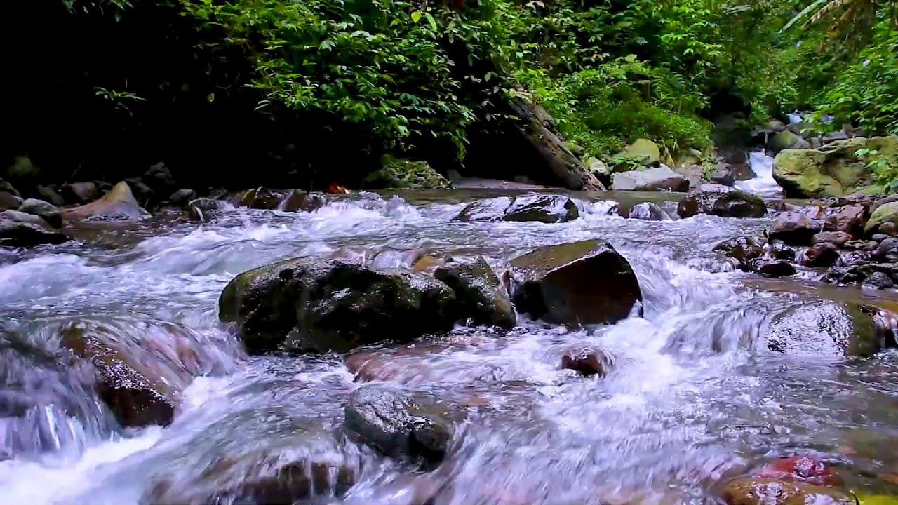 Deep Sleep Mountain River Sounds | Natural Water Ambience for Calm Nights