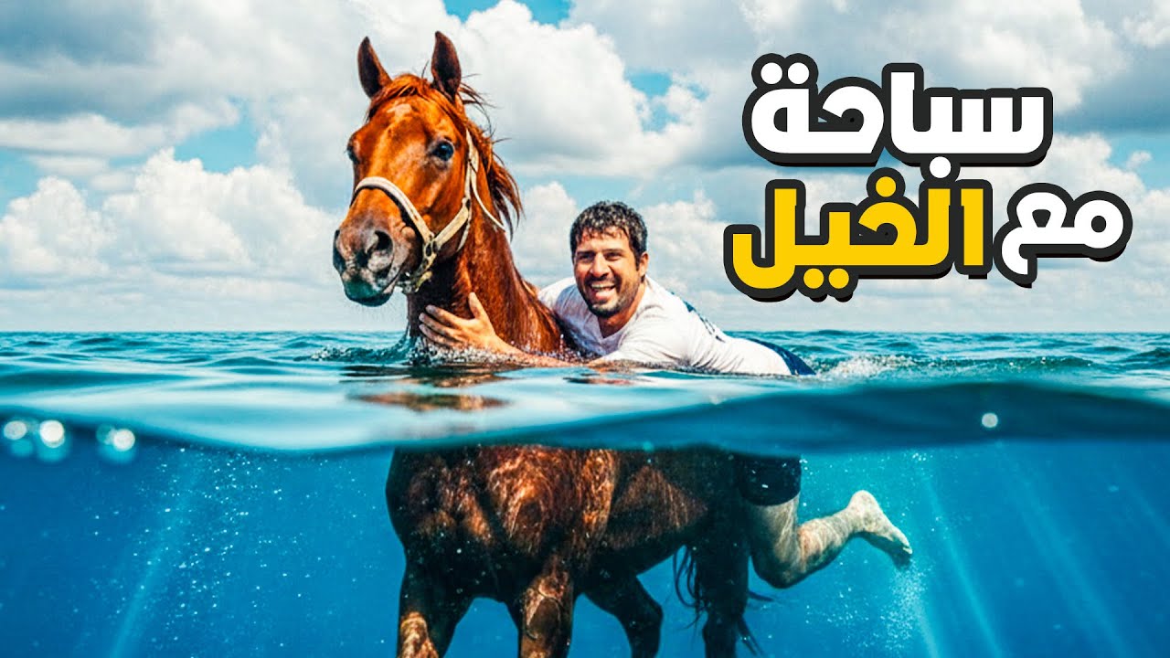 سباحة مع الخيل 🐎 