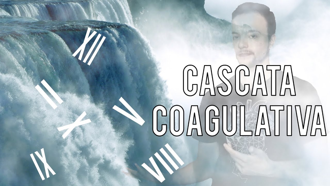 Quando il sangue diventa solido: la COAGULAZIONE adesso - Spiegazione