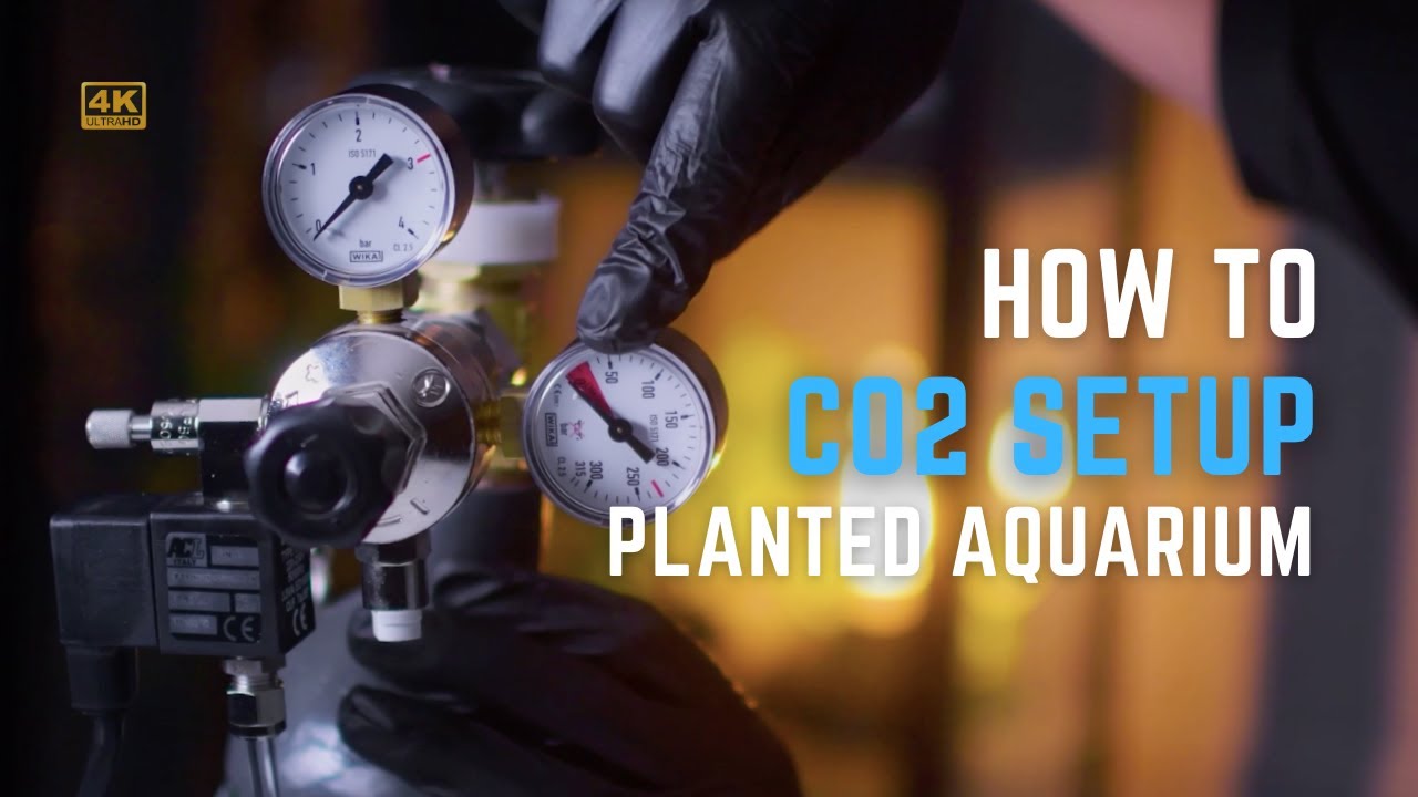 How to Set up Co2 System - MASTER CLASS - Aquascaping®