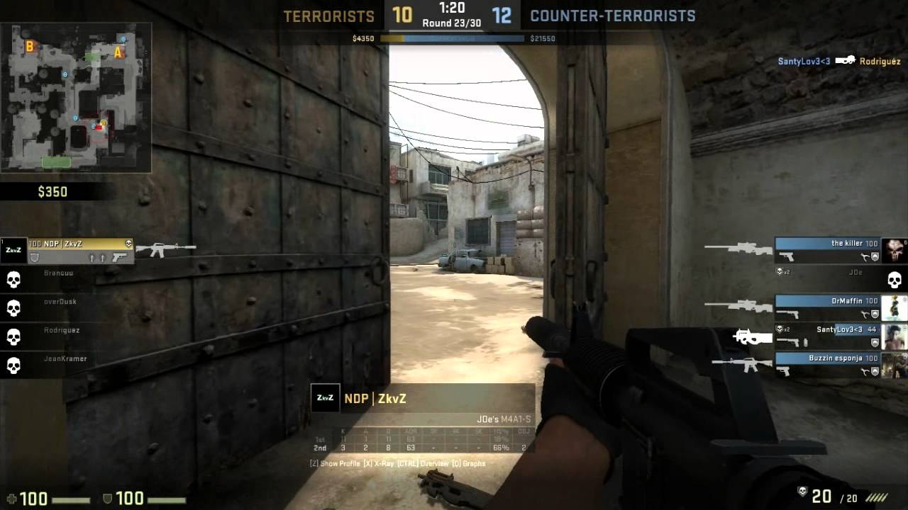 Never Das Potarias Cs:Go #1