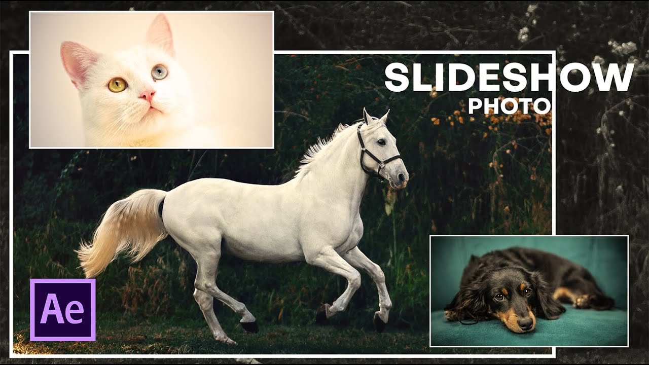 Slideshow Photo 3D in Adobe After Effects