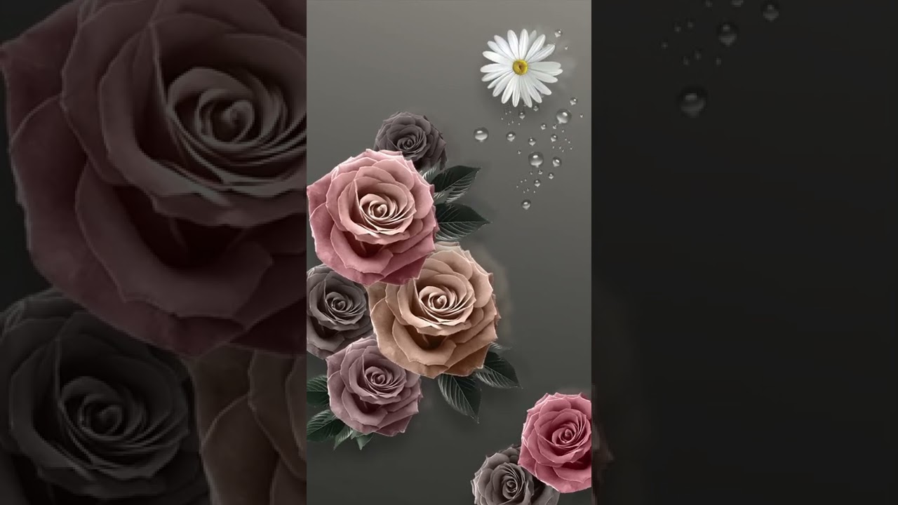 Premium Ash Pink Rose