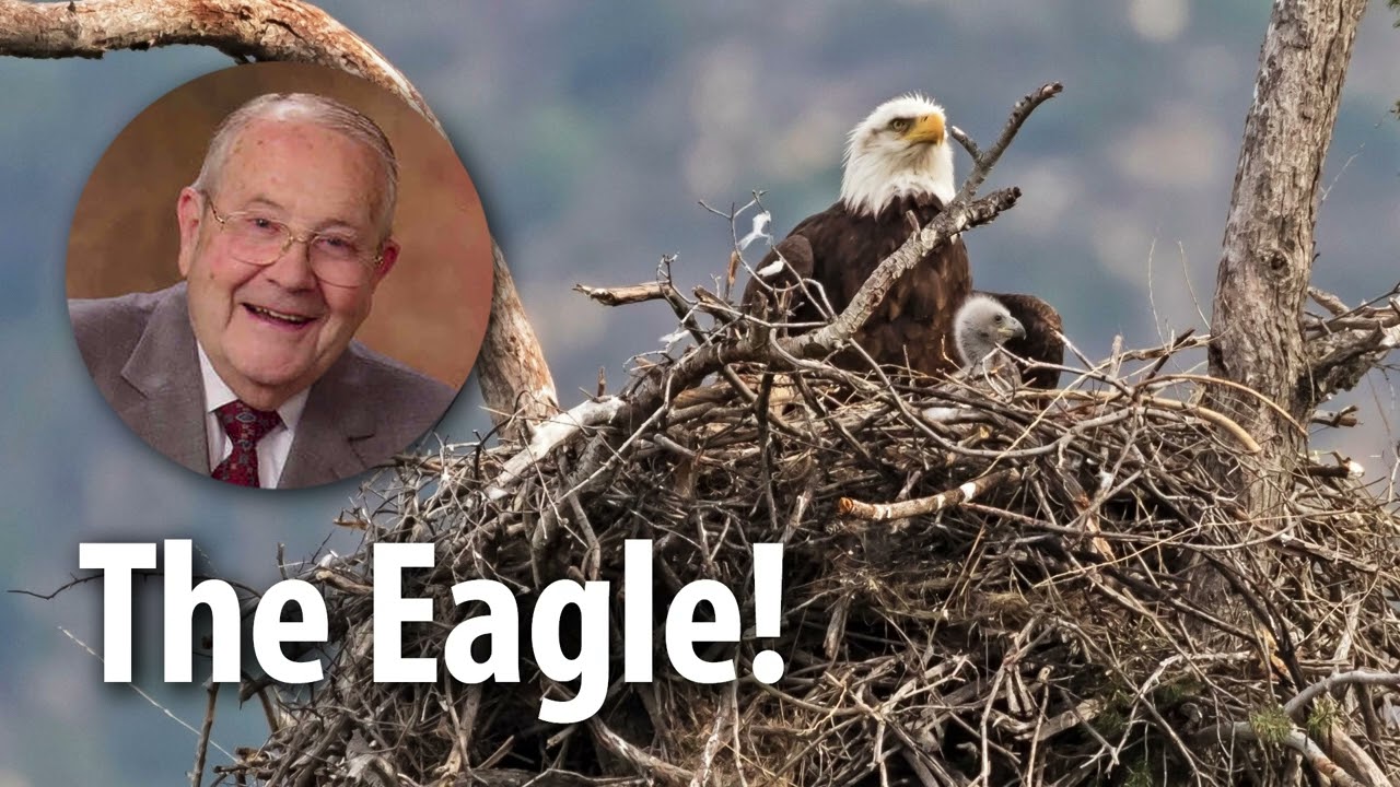 THE EAGLE​​​​​​! &ndash; Deuteronomy 32:11-12 &ndash; Devotional by Pastor Cecil A. Thompson