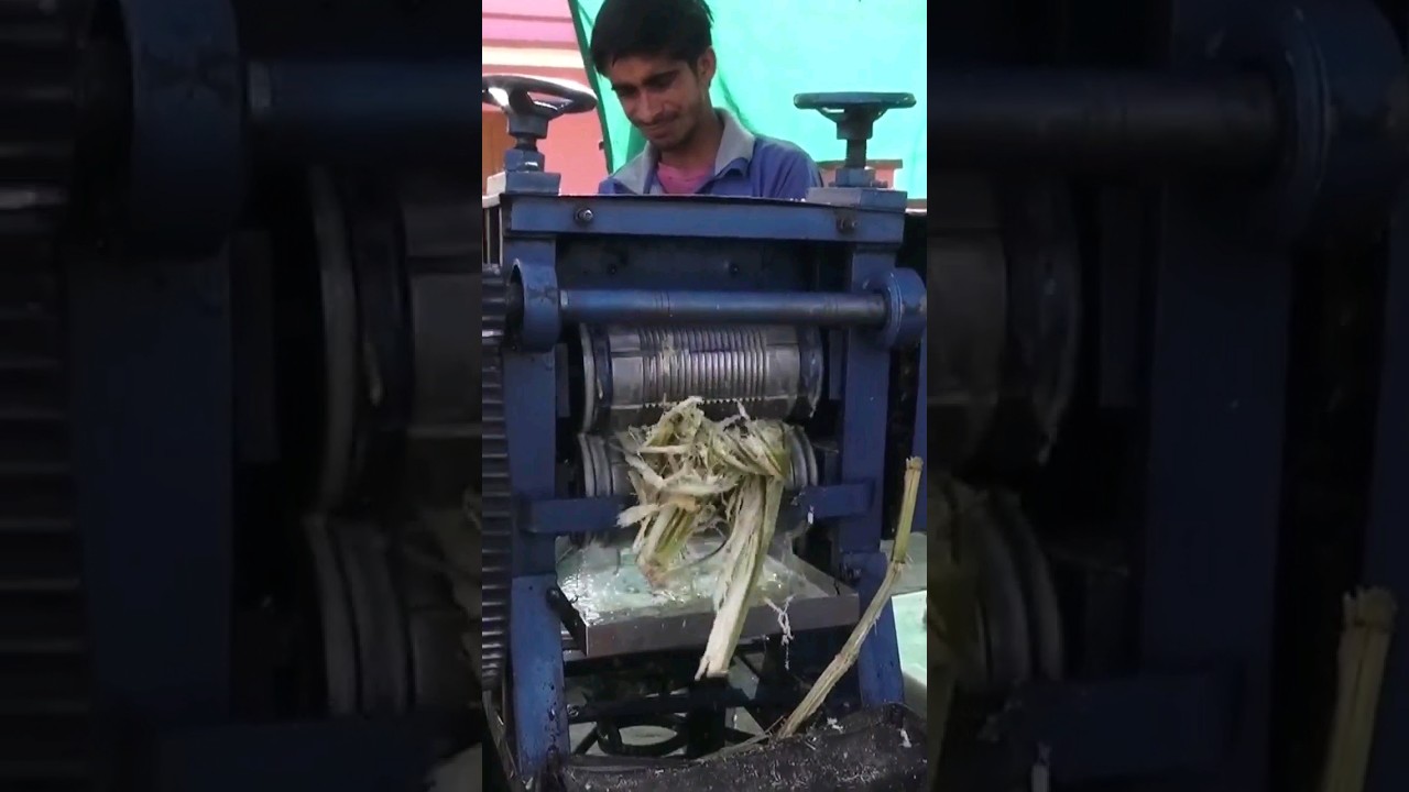 Pressen von Zuckerrohrsaft, S&uuml;&szlig;gras, Saccharum officinarum Indien #shortsvideo #shorts #Zuckerrohr