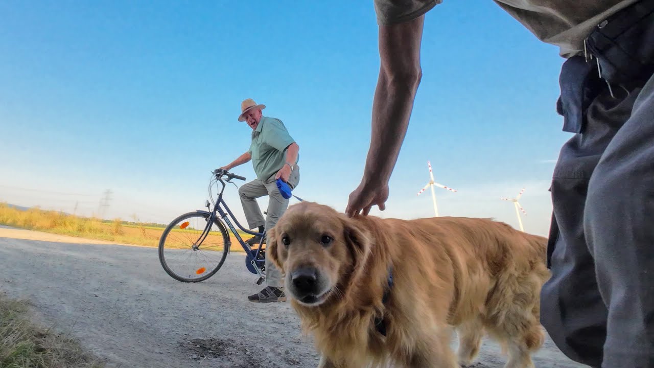 6x Hyperlapse, 15.08.2025 [B] Neusiedl &rarr; Wien