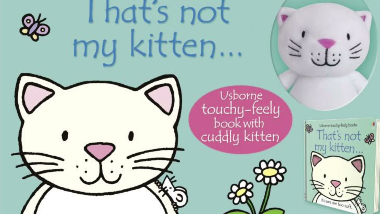 That’s Not My Kitten