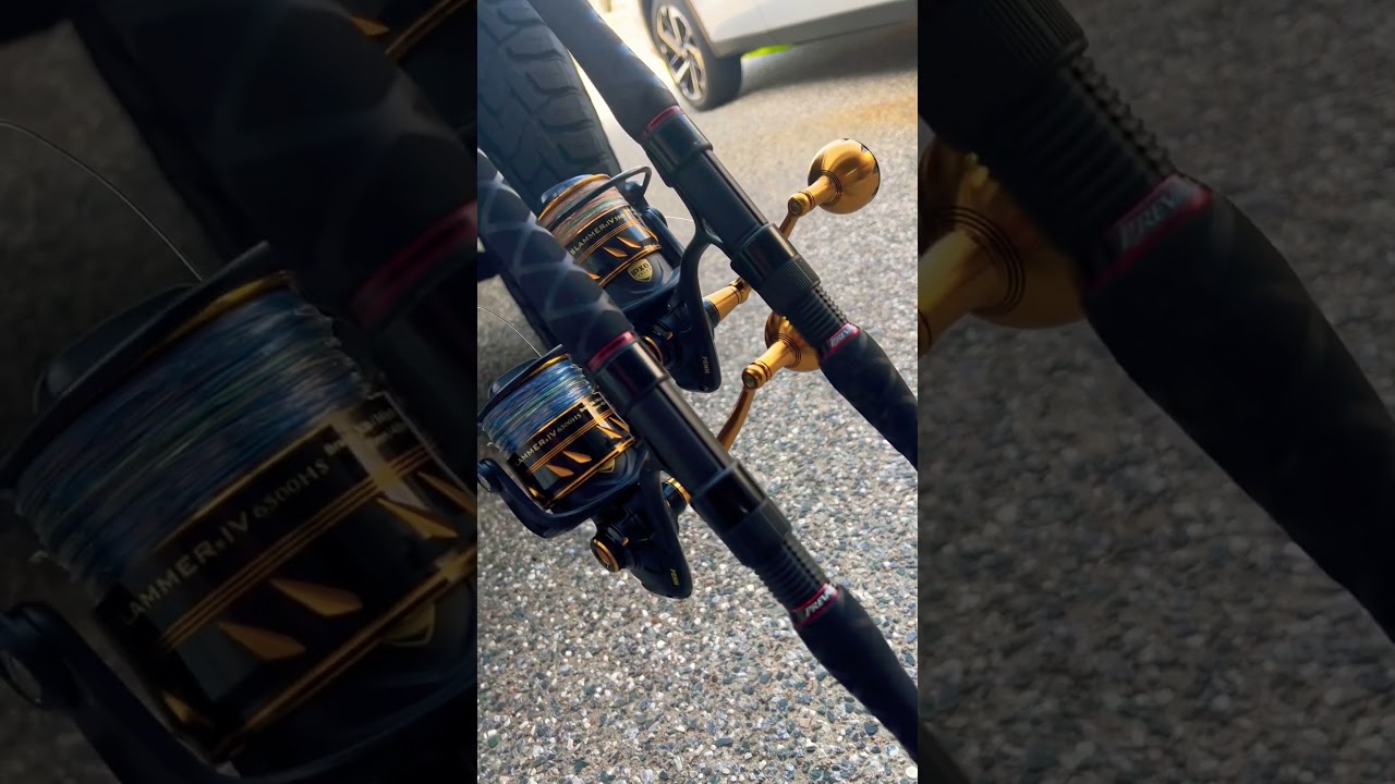 Penn Prevail II 902H/1002MH Penn Slammer IV 6500HS/5500 #fishing #australia #rockfishing