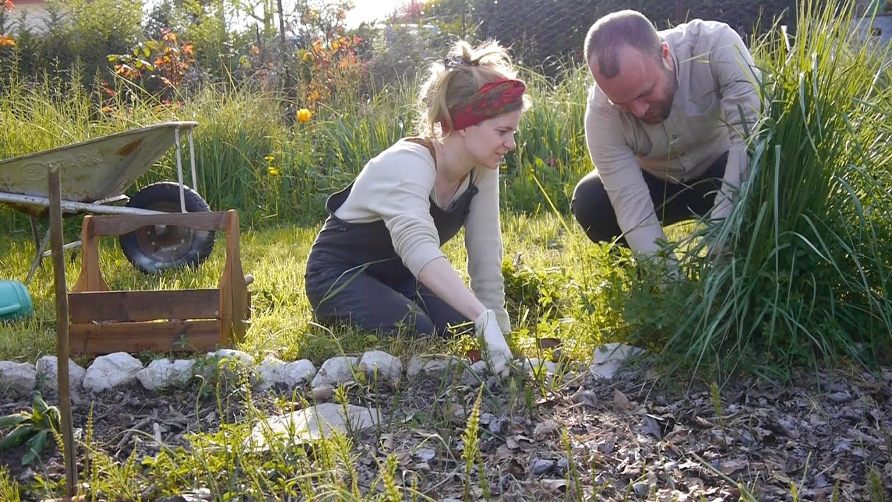 How I Prepare My Garden from Fall to Spring | Organic Gardening