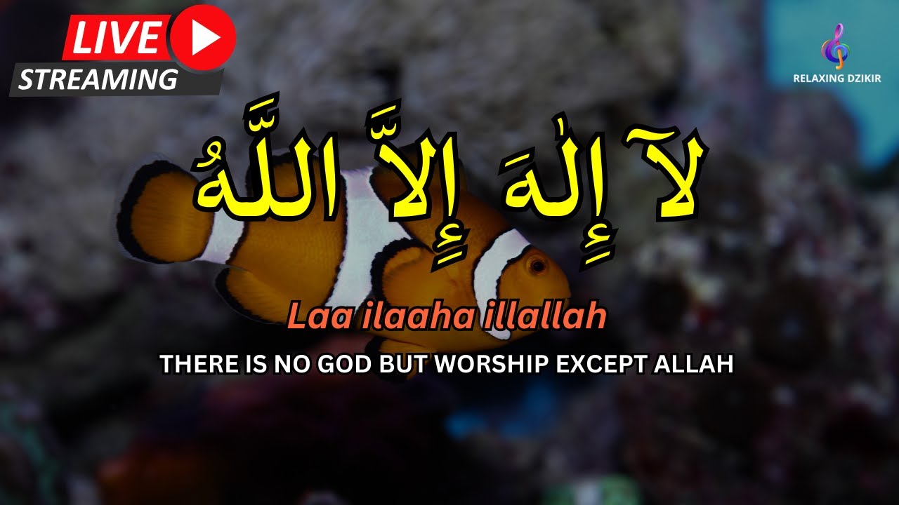 LAILAHAILLALLAH: Sleep Dzikir For Reduce stress #54