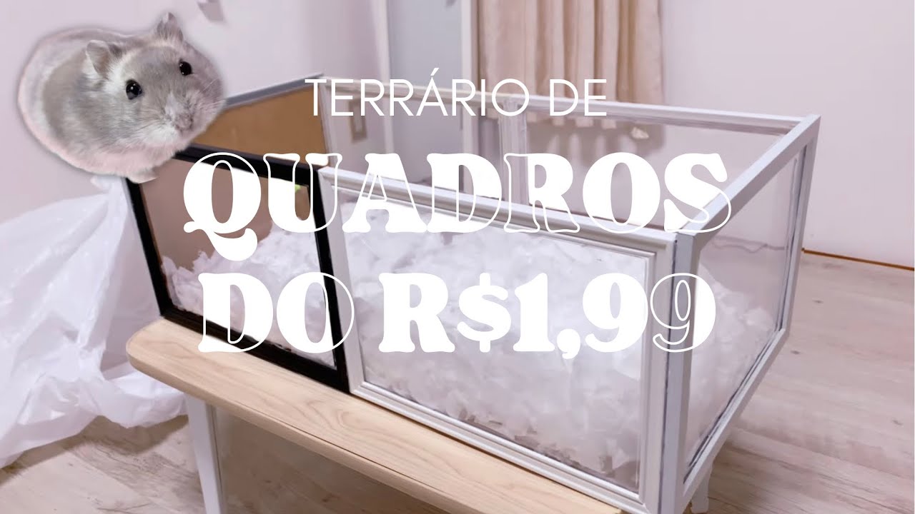 FIZ TERRÁRIO PARA HAMSTER COM QUADROS DO 1,99 e ECONOMIZEI MUITO DINHEIRO!!!