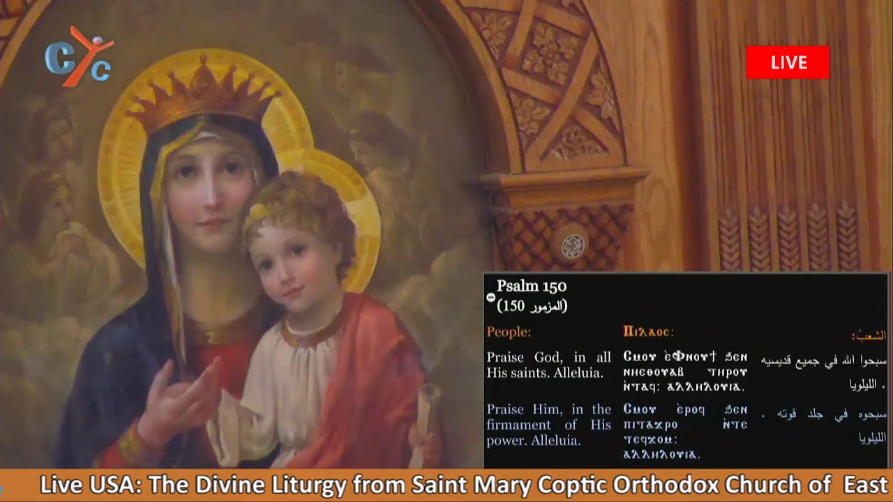 Live USA: The Divine Liturgy from Saint Mary Coptic Orthodox Church of East Brunswick, NJ